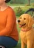 Friendly local dog